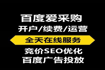行业领先企业的网络推广与竞价经验